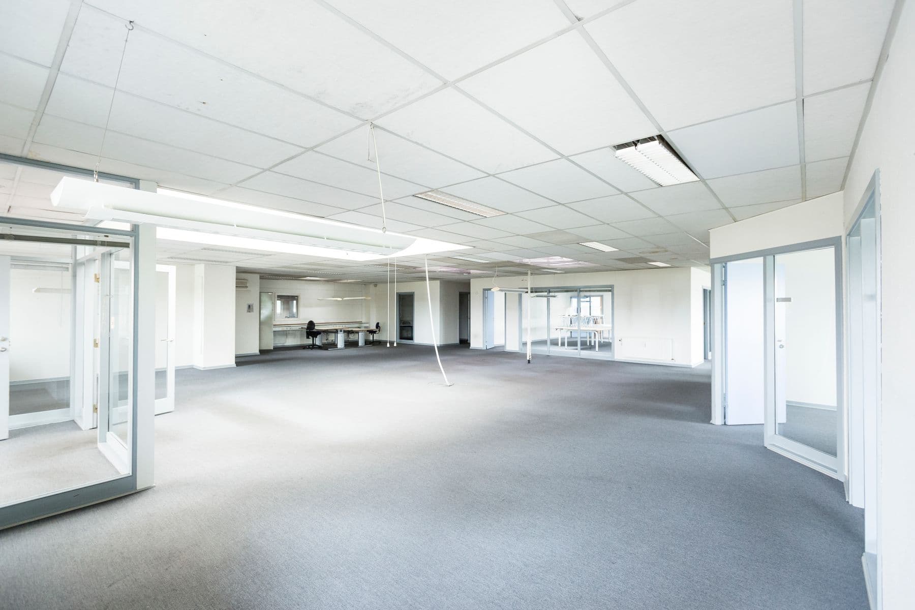 An empty open-plan office with white walls, a grid ceiling and glass partitions.